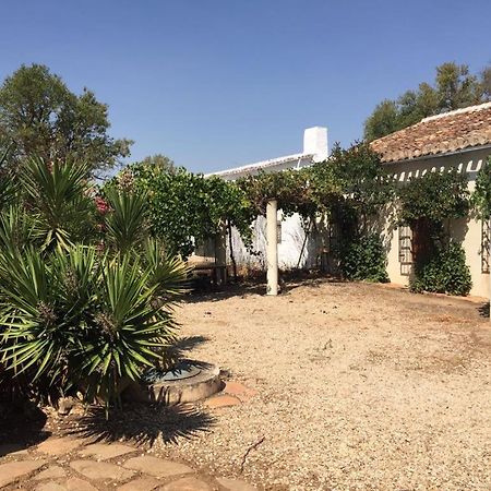 Casa Rural La Navarra Villarrobledo Luaran gambar