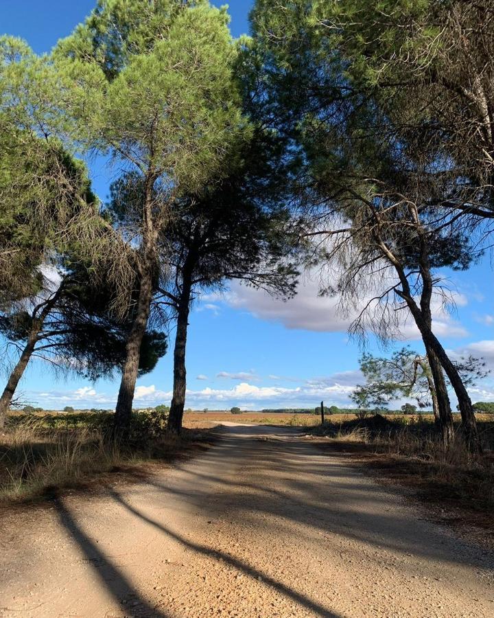 Casa Rural La Navarra Villarrobledo Luaran gambar