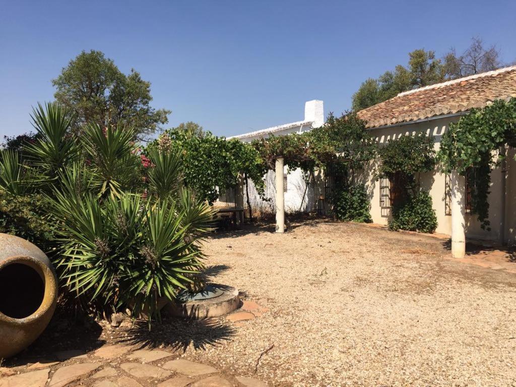 Casa Rural La Navarra Villarrobledo Luaran gambar