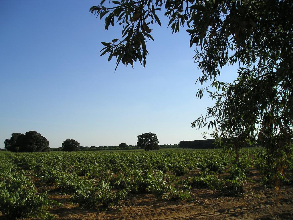 Casa Rural La Navarra Villarrobledo Luaran gambar